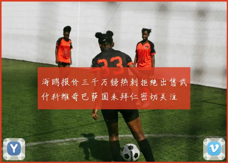 海鸥报价三千万镑热刺拒绝出售武什科维奇巴萨国米拜仁密切关注
